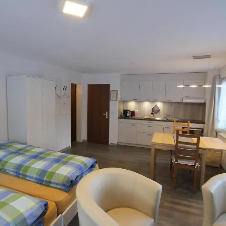 Amedee Saas-Fee