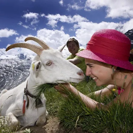 Amedee Appartamento Saas-Fee